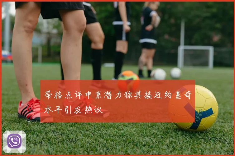 蒂格点评申京潜力称其接近约基奇水平引发热议