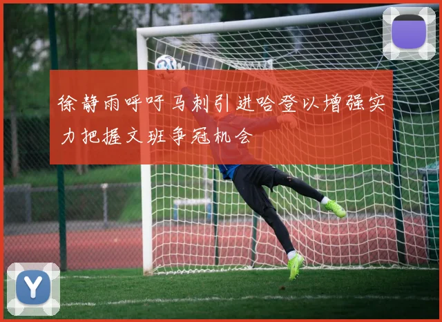 徐静雨呼吁马刺引进哈登以增强实力把握文班争冠机会