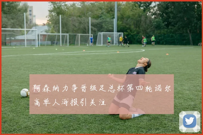 阿森纳力争晋级足总杯第四轮诺尔高单人海报引关注