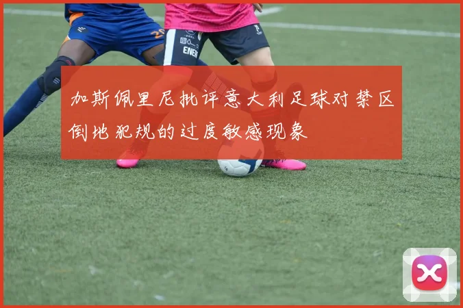 加斯佩里尼批评意大利足球对禁区倒地犯规的过度敏感现象